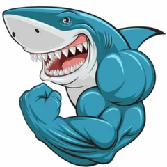 Shark_Boss